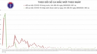 Đã bao nhiêu ngày không có ca nhiễm mới trong cộng đồng: Tính đến ngày 28/9/2020 là 26 ngày