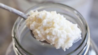 Tại sao nấm Kefir lại hấp dẫn chị em nuôi thành phong trào như thế?