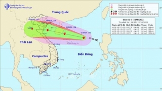 Bão số 7 chưa hết lại xuất hiện áp thấp nhiệt đới mới