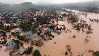 Ăn động vật chết do lũ có sao không?