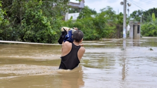 Chân tay ngâm lâu trong nước lũ có sao không?