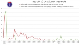 Việt Nam ghi nhận thêm một ca mắc Covid -19, là người nhập cảnh