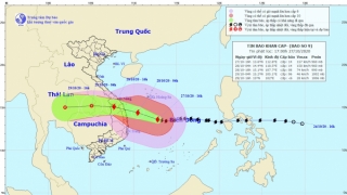 Công điện của Thủ tướng: Khẩn trương ứng phó bão số 9