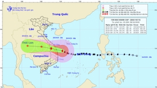 Dồn lực ứng phó với bão số 9, tập trung tìm kiếm người mất tích