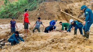 Liên Hợp Quốc sẽ hỗ trợ Việt Nam khắc phục hậu quả lũ lụt