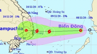 Tin bão số 12 mới nhất: Bão mạnh lên vào tối 9/11, gây ảnh hưởng diện rộng