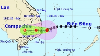 Bão số 12 đã vào vùng biển từ Bình Định đến Ninh Thuận