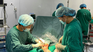 Nhiễm trùng nặng do chó nhà cắn