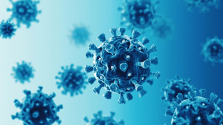 Phát hiện virus corona trong tinh hoàn bệnh nhân