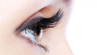 Những thú vị về lông mi