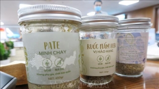 Bệnh nhân cuối cùng bị ngộ độc do ăn pate Minh Chay đã xuất viện sau hơn 100 ngày điều trị