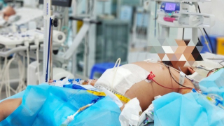 Cấp cứu thành công bé 9 tuổi bị sốc sốt xuất huyết nặng khiến máu cô đặc, suy đa tạng