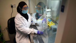 Kháng thể chống virus SARS-CoV-2 của Singapore bắt đầu được thử nghiệm giai đoạn cuối