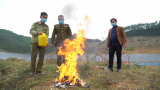 Tuyên Quang: Tiêu hủy thuốc lá điếu nhập lậu