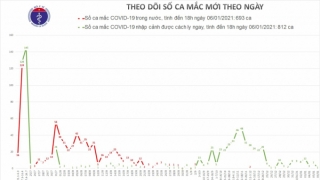 Việt Nam ghi nhận thêm 1 ca mắc COVID-19 trở về từ Pháp