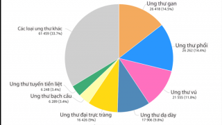 Việt Nam xếp thứ 92/185 quốc gia trên thế giới về ung thư