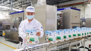 Vinamilk chào 2021 với lô sản phẩm sữa hạt và sữa đặc lớn xuất đi Trung Quốc