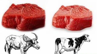 Các món ăn bổ dưỡng từ thịt trâu