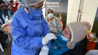 Tunisia, Palestine là hai nước nhận được vaccine phòng COVID-19 đầu tiên theo chương trình COVAX