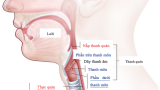 Khàn tiếng có thể là dấu hiệu của ung thư thanh quản