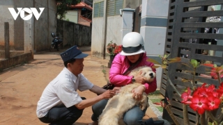 Đắk Lắk ghi nhận thêm 1 ca tử vong do bệnh dại