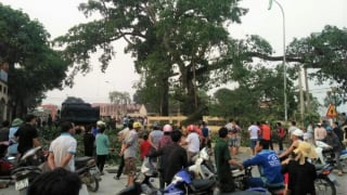 Cây đa hơn 300 tuổi ở Nghệ An gãy đổ làm 4 học sinh bị thương