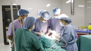 Một bé trai 4 tuổi bị thương nghiêm trọng vùng đầu, mặt do chó cắn