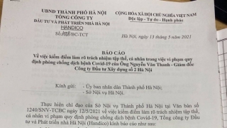 Đề nghị đình chỉ chức vụ Bí thư Đảng ủy của Giám đốc Handico