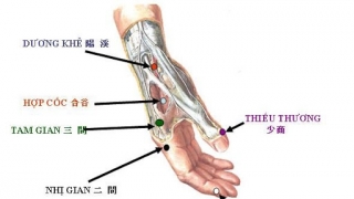 Làm gì để hạn chế các triệu chứng nguy hiểm ở người nhiễm SARS-CoV-2?