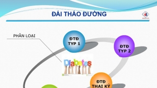 Hướng dẫn điều trị và quản lý bệnh đái tháo đường trong dịch COVID-19