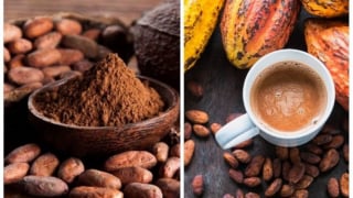 Bật mí cách đơn giản để giúp bạn thư giãn giải tỏa căng thẳng