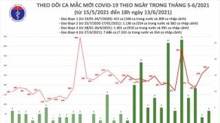 Tối 13/6: Thêm 103 ca mắc COVID-19, TPHCM nhiều nhất với 44 trường hợp