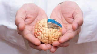 Alzheimer làm tăng nguy cơ mắc COVID-19 nghiêm trọng và tử vong