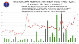 Tối 15/6: Thêm 213 ca mắc COVID-19; kỷ lục mới với 303 bệnh nhân được chữa khỏi