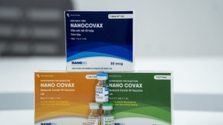 Công ty cổ phần Công nghệ sinh học dược Nanogen xin cấp phép khẩn cấp cho vaccine 'made in Vietnam' Nano Covax