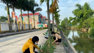 Ninh Bình: Mở rộng phong trào trồng cây xanh bảo vệ môi trường sinh thái