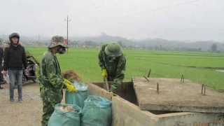 Điện Biên: Nâng cao hiệu quả mô hình bảo vệ môi trường nông thôn