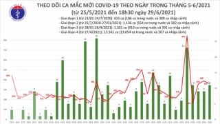 Tối 29/6: Có 175 ca mắc COVID-19 và 245 bệnh nhân khỏi