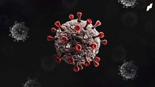 Biến thể - biến chủng virus là gì?