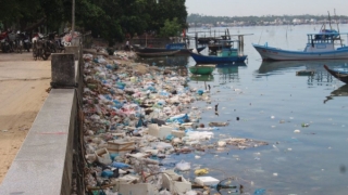 Quảng Nam: Mối lo đảo ngọc thành “đảo rác thải”