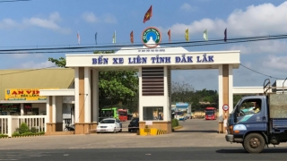 Đắk Lắk: Tạm dừng hoạt động vận tải hành khách đi và đến từ nhiều địa phương