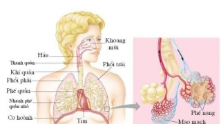 Cảnh giác ho kéo dài ở người cao tuổi