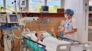 Mỗi ngày có 3-5 người bị rắn cắn phải vào Trung tâm Chống độc, Bệnh viện Bạch Mai