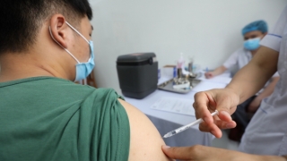 Vaccine Nano Covax giai đoạn 3 đã hoàn thành mũi tiêm thứ 2 cho hơn 1.000 tình nguyện viên