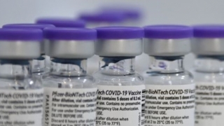 Vaccine COVID-19 đầu tiên sắp được phê duyệt đầy đủ ở Mỹ