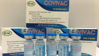 Ngày mai, vaccine Covivac bắt đầu thử nghiệm giai đoạn 2