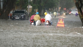 TP. HCM phát động phong trào thi đua phòng, chống thiên tai