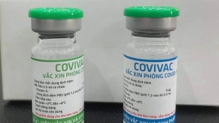 Giai đoạn 1 vaccine Covivac an toàn, có tính sinh miễn dịch