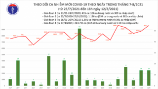 Tối 12/8: Thêm 5.025 ca nhiễm mới, nâng tổng số ca trong ngày lên 9.667 ca