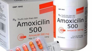 Hà Nội: Tạm dừng phân phối và sử dụng thuốc Amoxicillin 500m